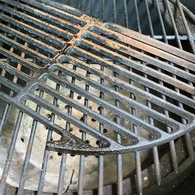 Big Green Egg insides.