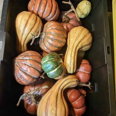 Assorted Decorative Gourds