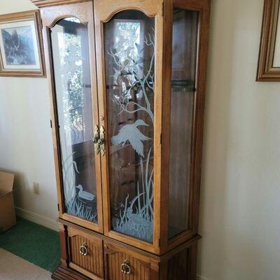 Gun cabinet with Glass Front