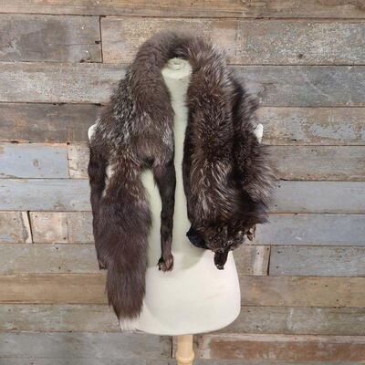 Vintage Fox Stole #1
