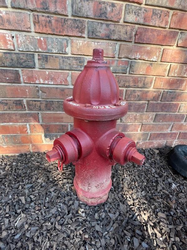 Colossal Sale in Choctaw