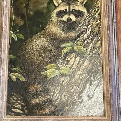 Painting of Raccoon by Roanoke artist Robert W Henley