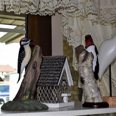 Audobon Woodpecker -  Lovely