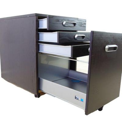 FILE CABINET TO KEEP YOU ORGANIZED 