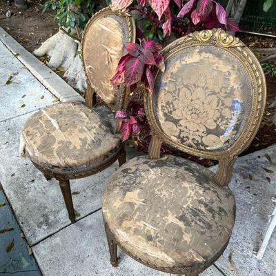 Antique Chairs