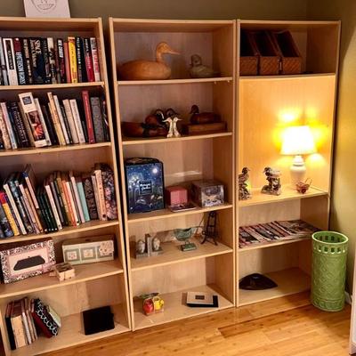 Ducks, books, book shelves