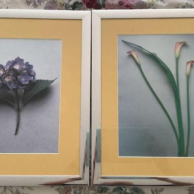 Framed Floral Photographs 