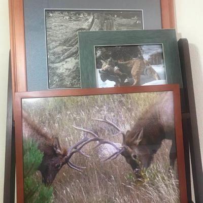 LINK TO ONLINE AUCTION
https://ctbids.com/estate-sales/fort-collins-coLINK TO ONLINE AUCTION...