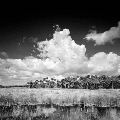 LINK TO ONLINE AUCTION
https://ctbids.com/estate-sales/fort-collins-co