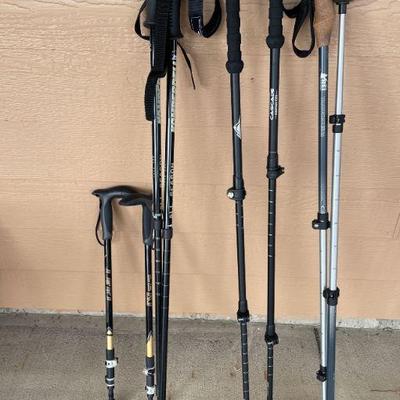 LINK TO ONLINE AUCTION
https://ctbids.com/estate-sales/fort-collins-co