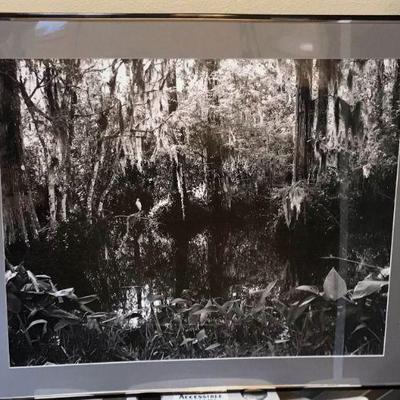 LINK TO ONLINE AUCTION
https://ctbids.com/estate-sales/fort-collins-co