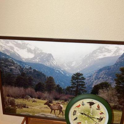 LINK TO ONLINE AUCTION
https://ctbids.com/estate-sales/fort-collins-co