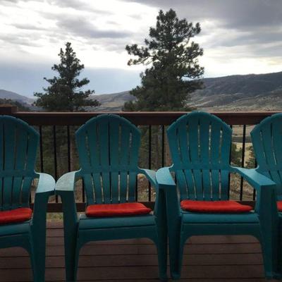 LINK TO ONLINE AUCTION
https://ctbids.com/estate-sales/fort-collins-co