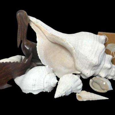 LINK TO ONLINE AUCTION
https://ctbids.com/estate-sales/fort-collins-co