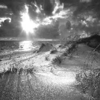 LINK TO ONLINE AUCTION
https://ctbids.com/estate-sales/fort-collins-co