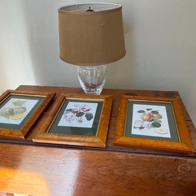 Botanical prints