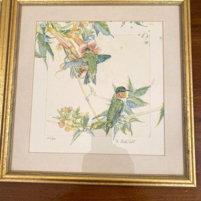 Hummingbird watercolor 