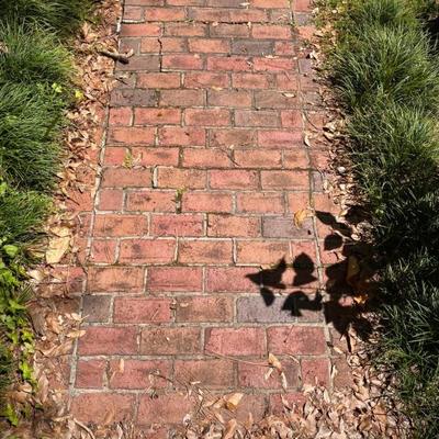 Bricks from driveway and walking path