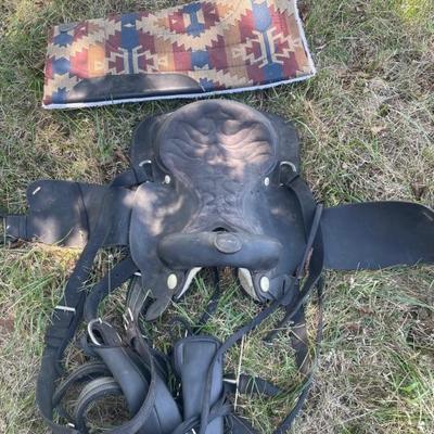 Real nice saddle and blank with all the tack