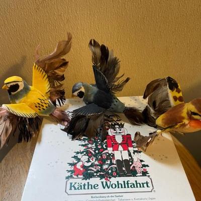 Colorful bird collections