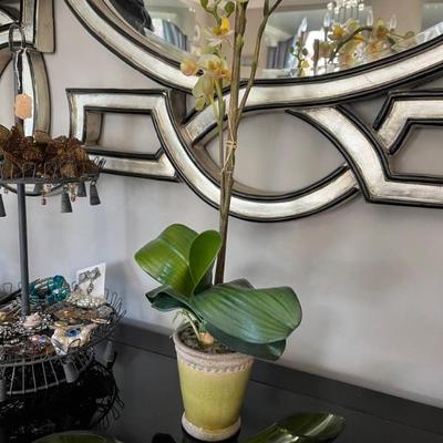 Silk plants & A gorgeous mirror 