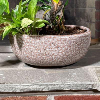 GLAZED POTTERY PLANTER | Dotted glazed pottery planter - h. 6 x dia. 14 in.