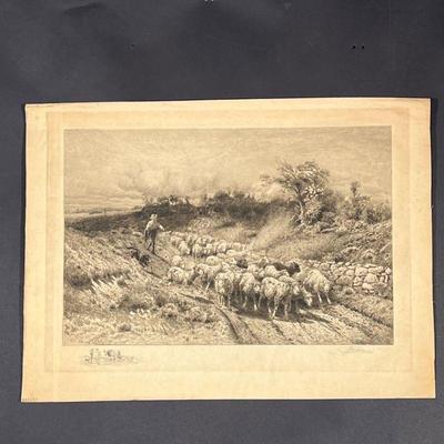 P. MORAN SHEPHERD ENGRAVING | Peter Moran, pencil signed lower right and signed in the plate - w. 23 x h. 17 in. (sheet) 