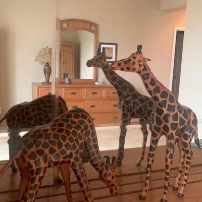 2 giraffes $50