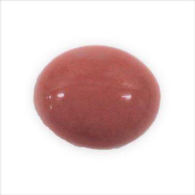 For more information and photos please visit our website https://garnetgazelle.com/ this is also where you can place your bids, bidding...