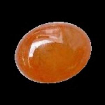 For more information and photos please visit our website https://garnetgazelle.com/ this is also where you can place your bids, bidding...