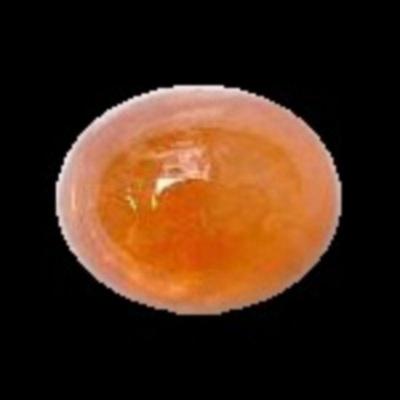 For more information and photos please visit our website https://garnetgazelle.com/ this is also where you can place your bids, bidding...