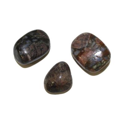 For more information and photos please visit our website https://garnetgazelle.com/ this is also where you can place your bids, bidding...