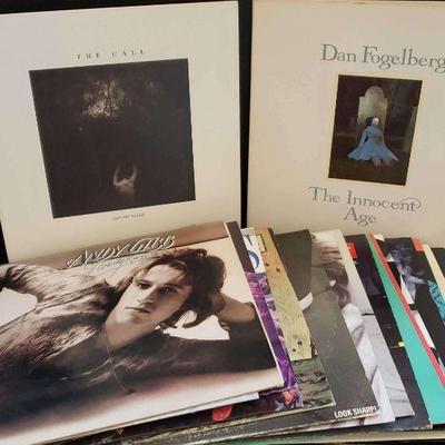 Vinyl Records Featuring Dan Fogelberg & Joe Jackson https://ctbids.com/estate-sale/18122/item/1816243