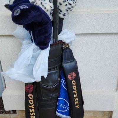 WST043 - Golf Clubs Mixed Set #3 With Bag