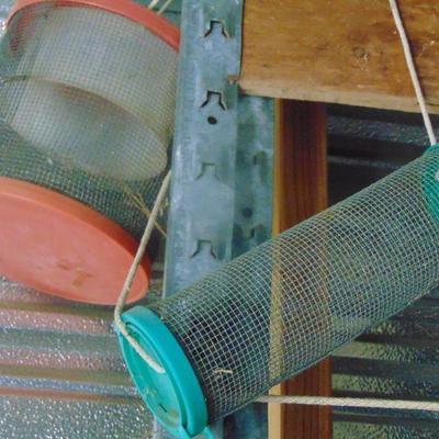 suet or cage(?)