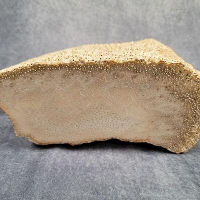 sandstone