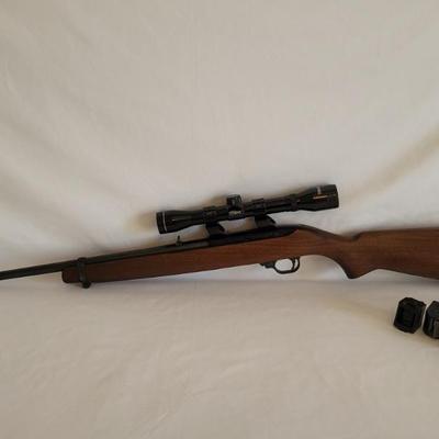 Ruger 10/22 w Tasco Pronghorn Scope