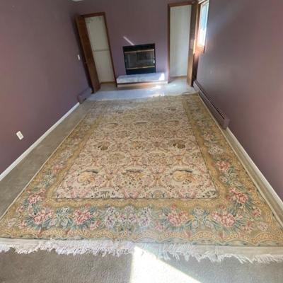 Gorgeous area rug 