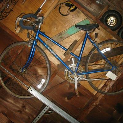 Dynasty "Free Spirit" bike  