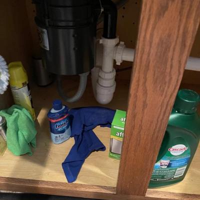 Misc cleaning supplies 