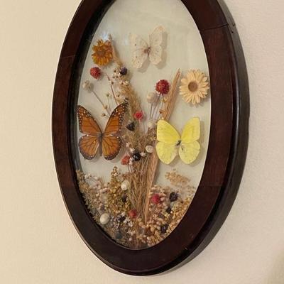 Butterflies 