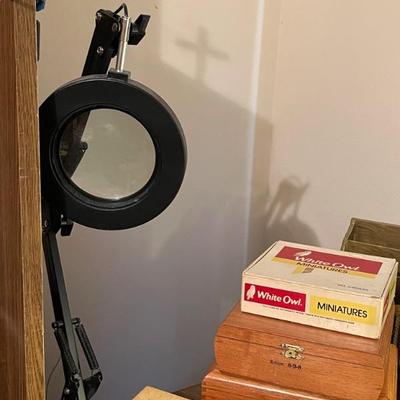 Magnifying light 