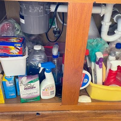 Cleaning supplies 