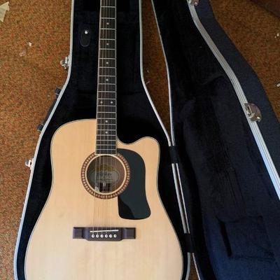 Washburn guitar, new in case
