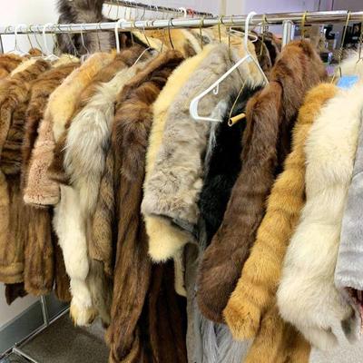 Plenty of furs