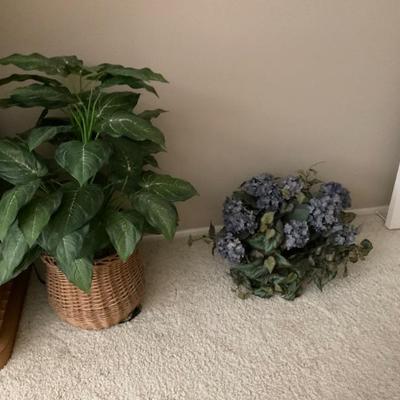Left plant in basket sold 
