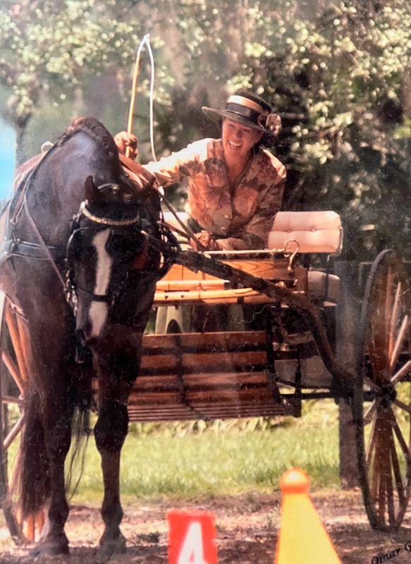 Blue Moon Estate Sales TampaNorth Presents Great Horse Gear and Train Collectables in Wesley