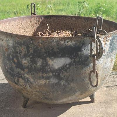 Cast Iron Cauldron turned Outdoor Planter 12in t