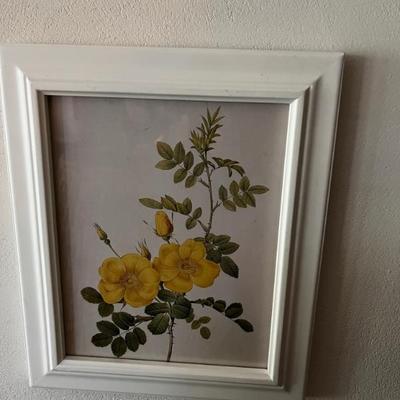 framed botanicals, yellow and white