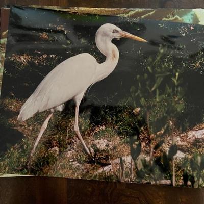 amazing travel photos by Bernie Greenwald, 11x13" and up, would make a great gallery wall